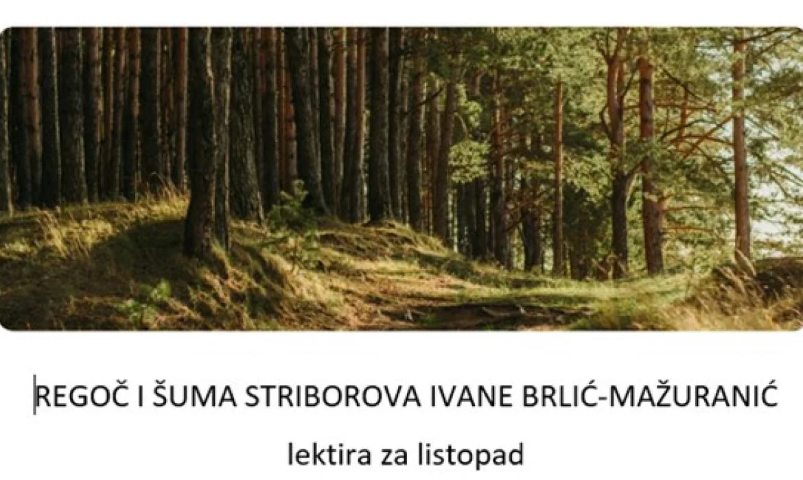 Kreativna lektira