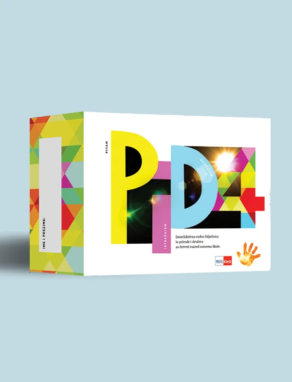 PID 4