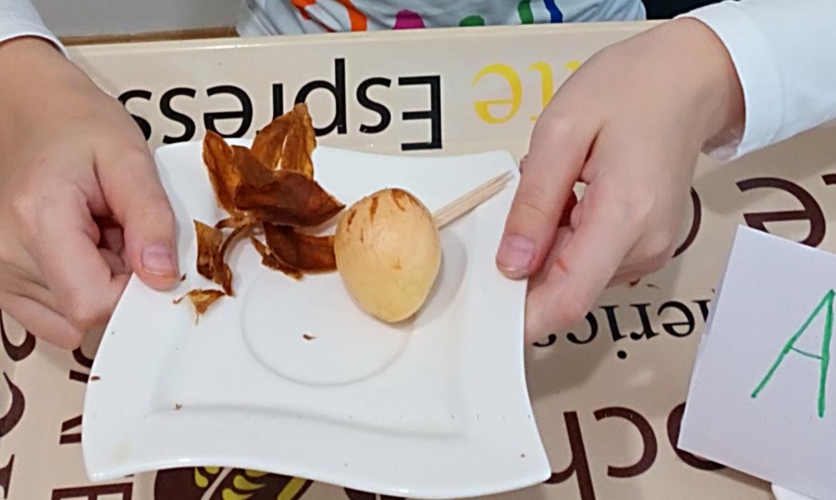 Slika 3. Čišćenje sjemenke avokada