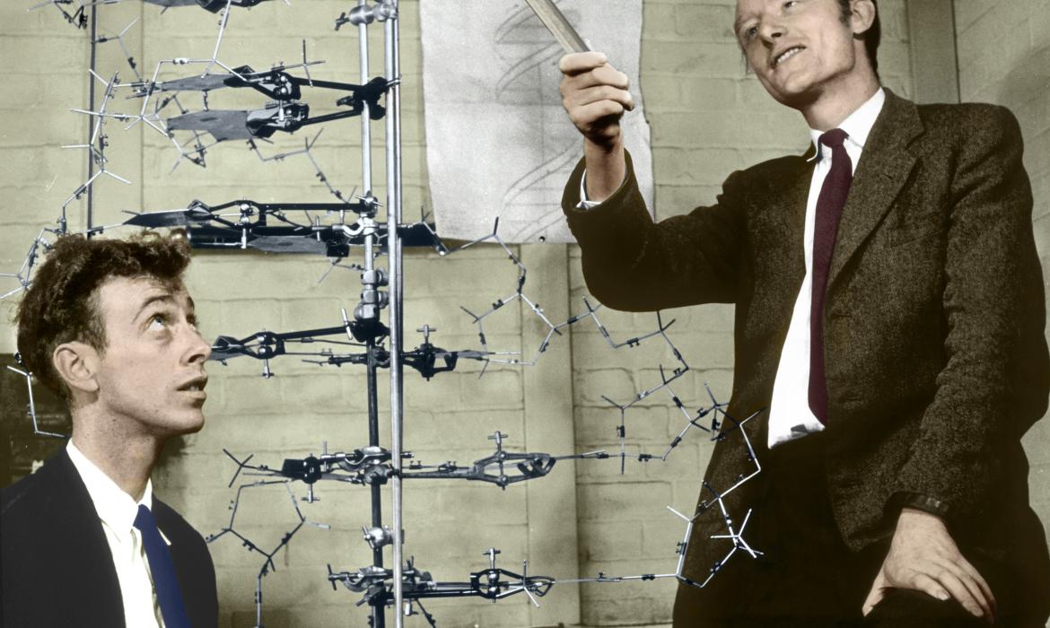 Slika: Watson i Crick sa svojim modelom molekule DNA