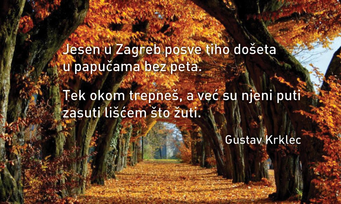 Telegrafski profili pretraživanja