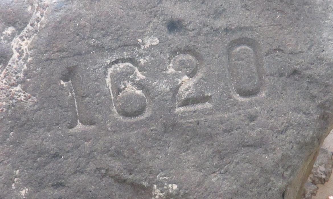 Plymouth Rock
