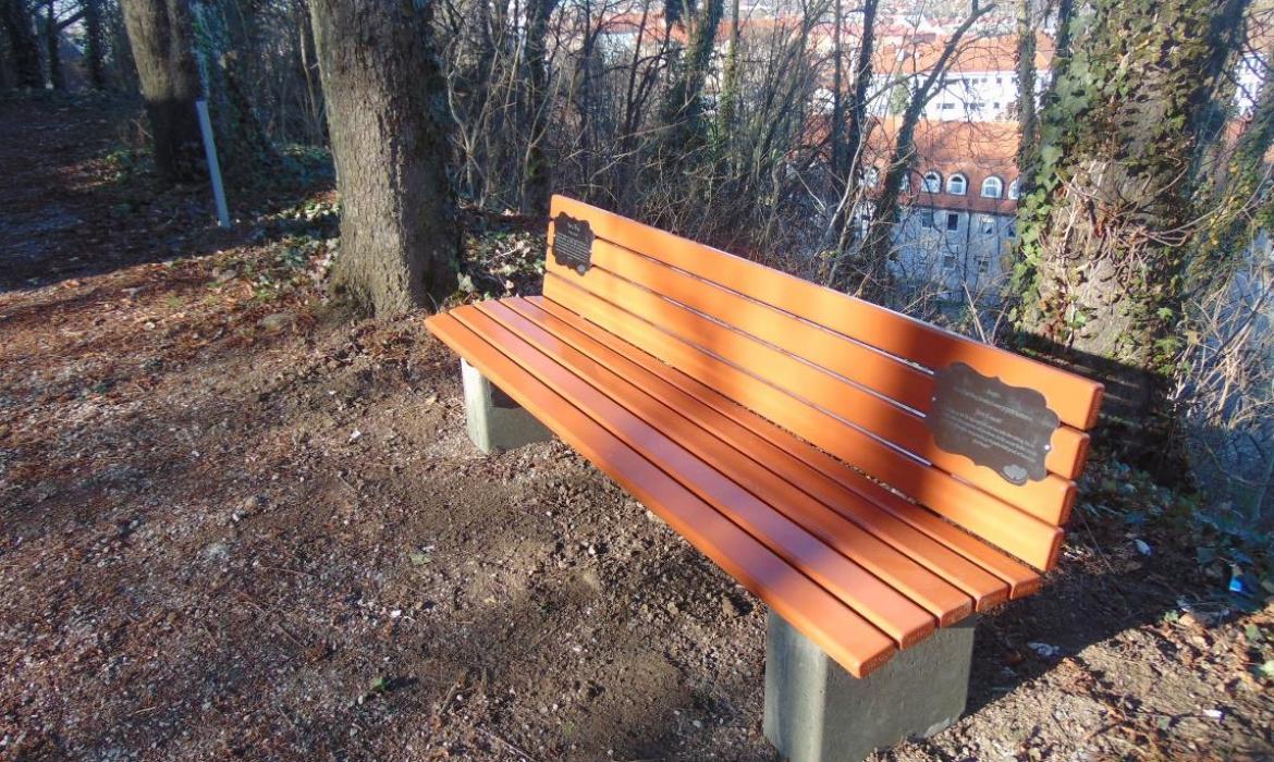 Foto: Požeška kronika