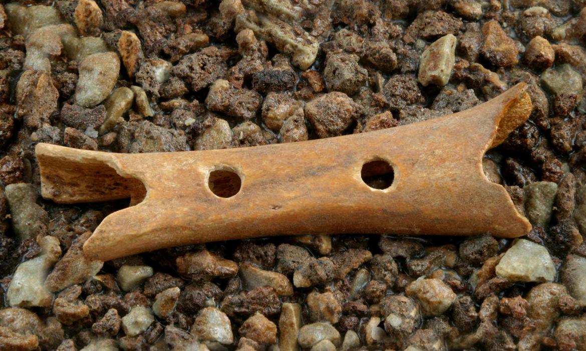 neandertalska flauta