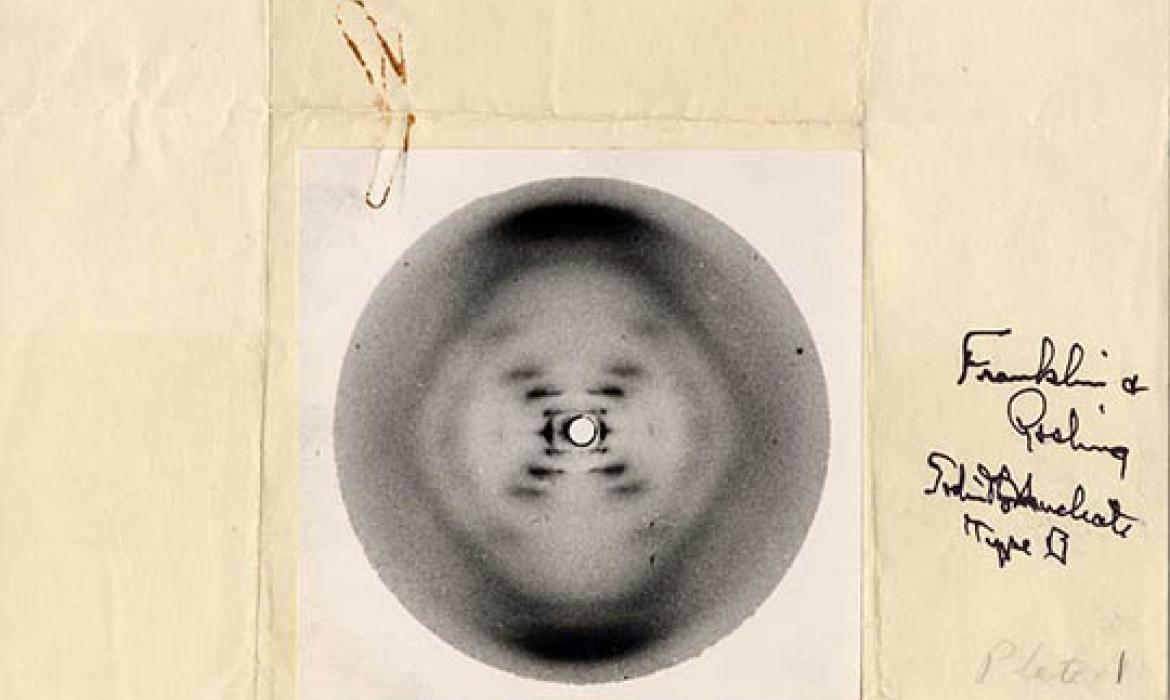 Fotografija 51 je poznata snimka molekule DNA dobivena metodom difrakcije rendgenskih zraka kojom je R. Franklin pomogla u postavljanju modela dvostruke uzvojnice.