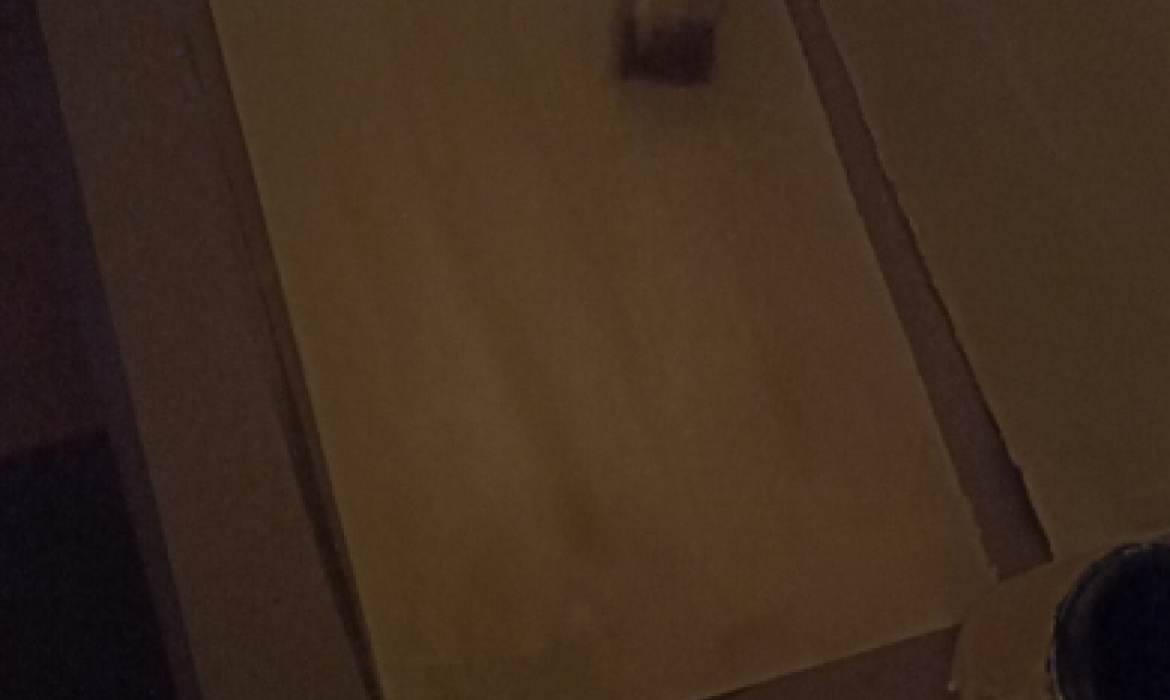 Slika 4. Nanošenje otopine