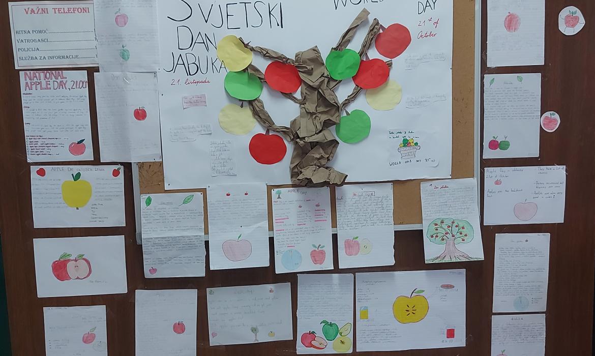 Slika 5. Izgled panoa s učeničkim radovima.